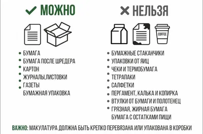 От слов к делу: студенты ИЭП приняли участие в сборе макулатуры ::  Петрозаводский государственный университет