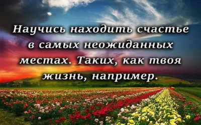 Жизнь – это подарок. 102 истории о том, как находить счастье в мелочах,  Стефанос Ксенакис – скачать книгу fb2, epub, pdf на ЛитРес