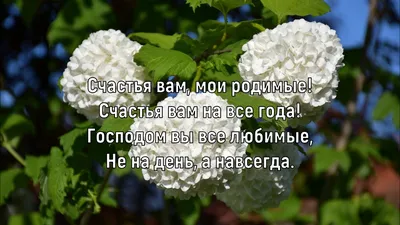 Good morning. Доброе утро.Счастья Вам - С добрым утром, скажет ярко Солнце  радостным лучом. С добрым утром, счастья чарка Снова пусть придет в наш  дом. Пусть беда обходит дальше. Пусть уныние уйдет.