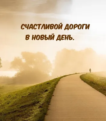 Световые надписи «Чита – город трудовой доблести» и «Счастливого пути»  появились на Каштакском мосту | 02.11.2022 | Чита - БезФормата