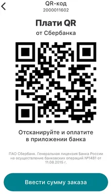 Инструкция для оплаты счета по QR коду - Невские Сезоны | Туроператор по  Санкт-Петербургу | Правильные туры в Петербург