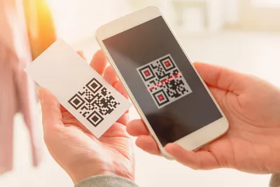 Cоздать QR-код: онлайн-генераторы куар (кьюар, кюар) кода — как делать со  своими данными, создание, формирование КР (QR-code) самостоятельно,  бесплатно