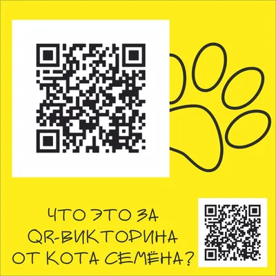 Как сделать красивую QR-визитку