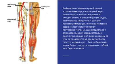 Эти 5 упражнений моментально снимут защемление седалищного нерва и боль! -  YouTube