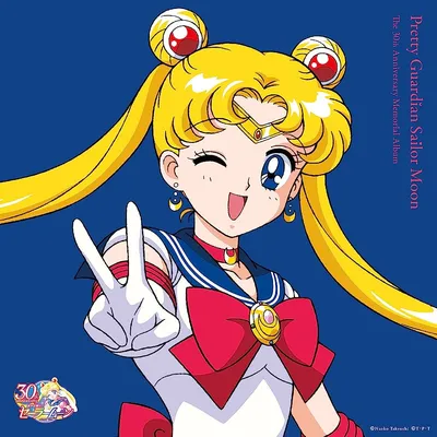 Pretty Guardian Sailor Moon: The 30th Anniversary Memorial Album [Analog]:  Amazon.sg: Music