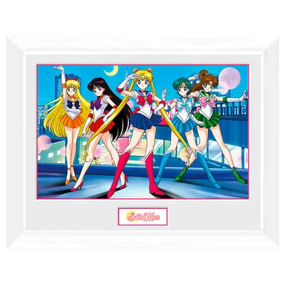 Sailor Moon - Group (White Frame) Gerahmte Poster, Bilder | Kaufen bei  EuroPosters