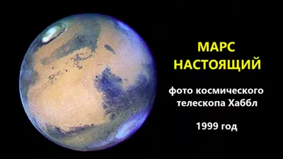 Марс уже давно освоен, невероятные признания очевидцев | Путевые заметки |  Дзен