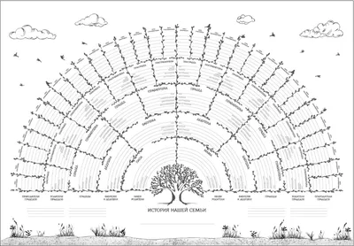 Генеалогическое древо - генеалогическое дерево семьи, цены на составление,  фото