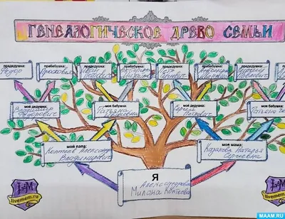 Детки! - Генеалогическое древо своими руками: создание дизайна на ПК или  бумаге