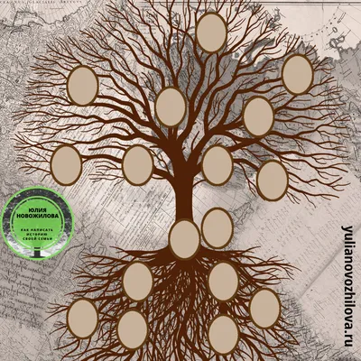 Генеалогическое древо семьи» - Скачать шаблон | Раннее развитие