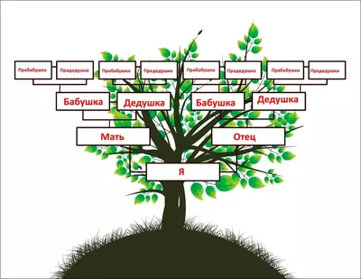 Книга Семейное древо. Родословная моей семьи - купить дома и досуга в  интернет-магазинах, цены на Мегамаркет | 978-5-17-151687-1