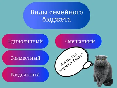 Семейный бюджет - как распределять, вести и планировать / Личные финансы и  финансовая грамотность - YouTube