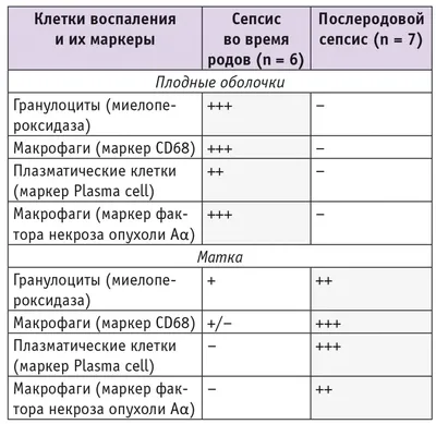 Сепсис. Этиология. Патогенез. Экстракорпоральная детоксикация