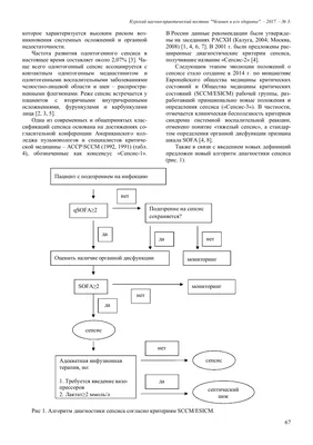 Врач Андреева назвала 9 симптомов сепсиса - \"убивает чаще, чем рак\" |  Medikforum | Дзен