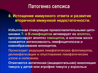 Новорожденного ждали кишечная палочка, сепсис, а затем коронавирус. Он все  равно выжил - Jana