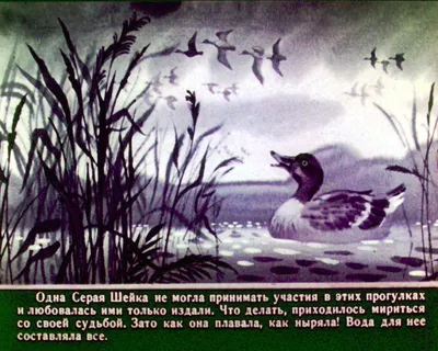 Мастер-класс по аппликации с элементами рисования «Фрагмент сказки «Серая  Шейка» (20 фото). Воспитателям детских садов, школьным учителям и педагогам  - Маам.ру