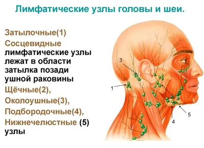 Отек века при беременности - энциклопедия Ochkov.net