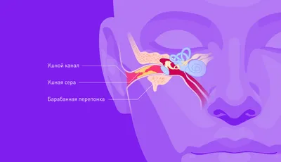 Серная пробка | Медицинский центр «Нью-Медика» | Дзен