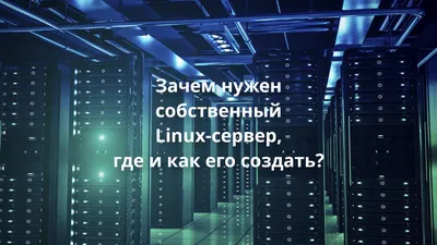 Чем отличается сервер от хостинга: разница между ними | Макхост