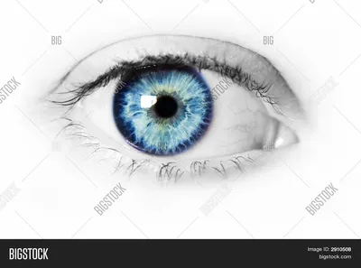 Женский серый взорвать глаз Стоковое Изображение - изображение  насчитывающей зрачок, взорвать: 176395245
