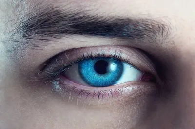 Красивые голубые глаза мужчины закрыть :: Стоковая фотография :: Pixel-Shot  Studio