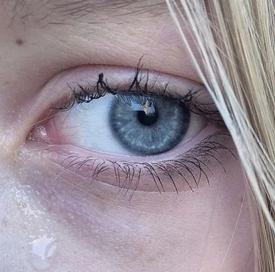 𝐨𝐝𝐞𝐥𝐢𝐚 | Цвет глаз, Голубые глаза, Серые глаза
