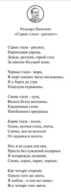 Сторона девушки, серые глаза, крупный план Стоковое Изображение -  изображение насчитывающей повелительница, цвет: 118957177