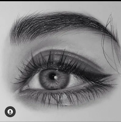 Серые Глаза Длинные Ресницы Глаз - Бесплатное фото на Pixabay - Pixabay