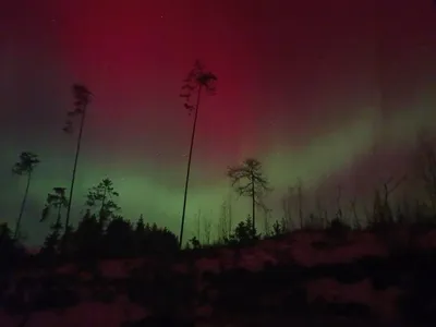 В небе под Екатеринбургом заметили северное сияние: необыкновенные фото -  16 февраля 2023 - e1.ru