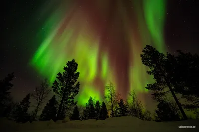 На Камчатке наблюдали северное сияние - KamchatkaMedia.ru