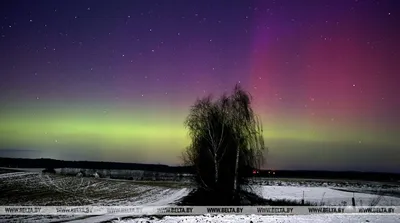 Северное сияние озарило финское небо – смотрите фото из разных уголков  страны | Yle