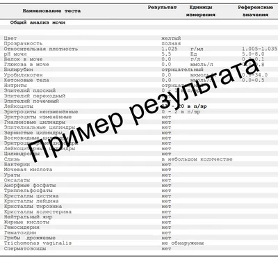 Как устранить раздражение мочевого пузыря после приема сyclophosphamide |  Memor