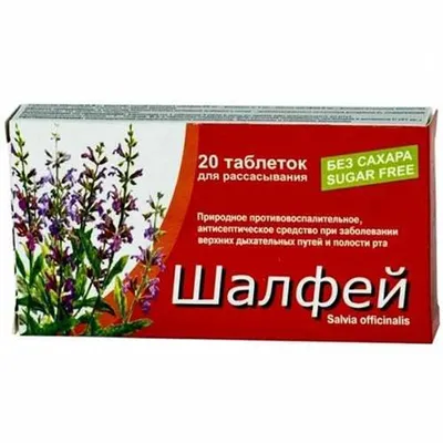 Шалфей (officinalis Salvia) Стоковое Фото - изображение насчитывающей бело,  зеленый: 25989890