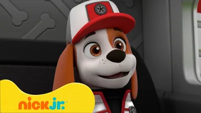 Paw Patrol: Мягконабивная игрушка \"Щенячий патруль\" в асс.: заказать  фигурку по доступной цене в Алматы, Астане, Казахстане | Интернет-магазин  Meloman