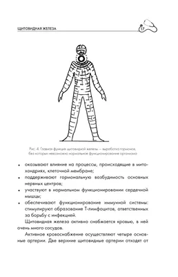 Рак щитовидной железы: симптомы, прогноз, виды, стадии, диагностика и  лечение онкологии щитовидки