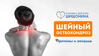 Боль в спине - остеохондроз - Доктор Позвонков