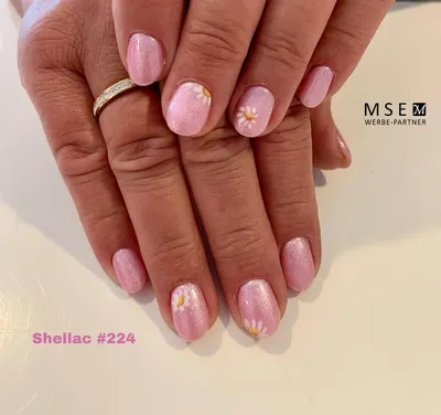 Tasta Spa - Shellac French Manicure😊. Looks so delicate, dreamy and  elegant. Even as your nails grow, the contrast between the shellac base  section and the new exposed natural nail doesn't look