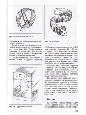 Куртка из шиншиллы зеленая купить в интернет-магазине Pret-a-Porter Furs