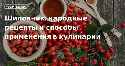 Когда собирать шиповник: сбор шиповника - Agro-Market24