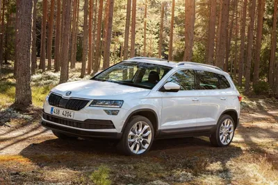 Фото Skoda Karoq - фотографии Шкода Карок