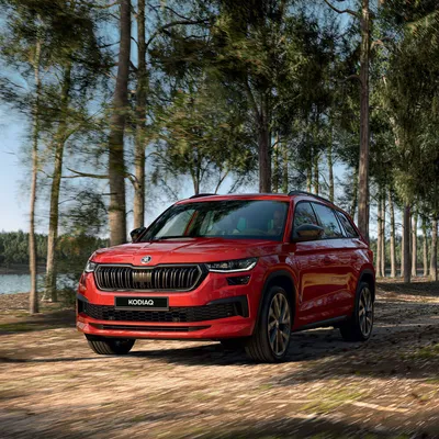 ŠKODA KODIAQ SPORTLINE 2023 – фото, обзор комплектации обновленного Шкода  Кодиак Спортлайн - официальный сайт SKODA в России