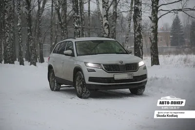 Skoda Kodiaq 2021 - фото и цена, обзор, характеристики, видео тест-драйв