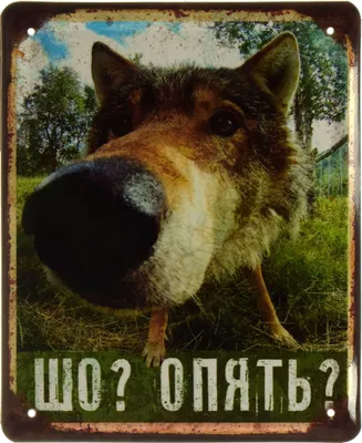 Постер Шо опять?!!! Новый Год ❤ — купить по выгодной цене на «Все  Футболки.Ру» | Принт — 1909971 в Санкт-Петербурге