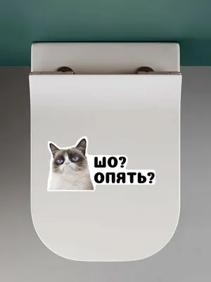 Шо, ОПЯТЬ?!?