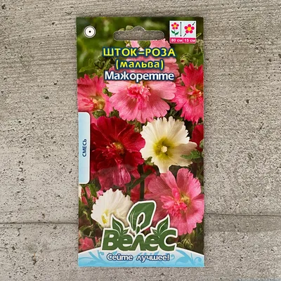Мальва (Шток-роза) Смесь семена купить в Украине | Веснодар