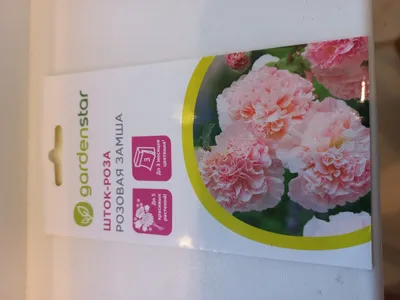 Роза Обыкновенный Шток роза Виолет – купить семена в интернет-магазине Лафа  с доставкой по Москве, Московской области и России