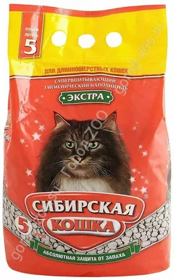 Сибирская кошка фото