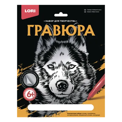 Сибирский хаски (Породы собак) собака хаски, порода хаски, хаски фото, хаска  сибирская, щенки хаски, купить хаски, хаски отзывы, хаски описание, хаски  описание породы, хаски цена Энциклопедия о животных EGIDA.BY