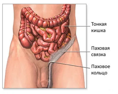 Что может вызвать сыпь — блог медицинского центра ОН Клиник