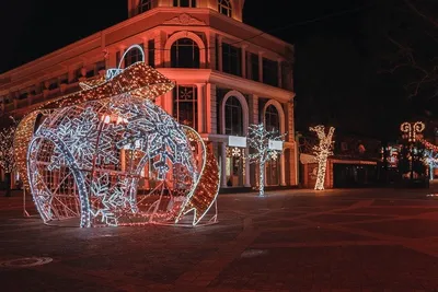 Как выглядит Симферополь перед Новым годом 2022: 7 атмосферных фото - KP.RU